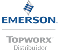 emerson-topworx-01